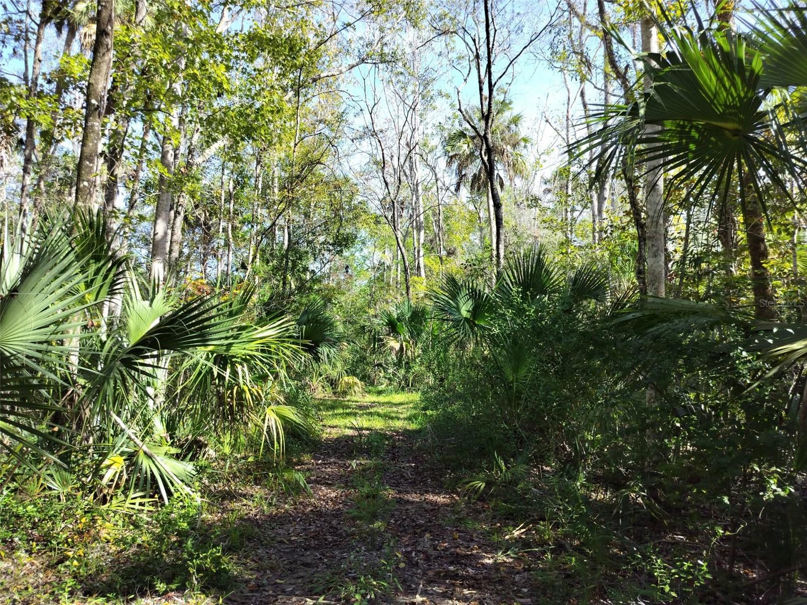 10008 W PENNSYLVANIA ST, HOMOSASSA, FL — photo 2