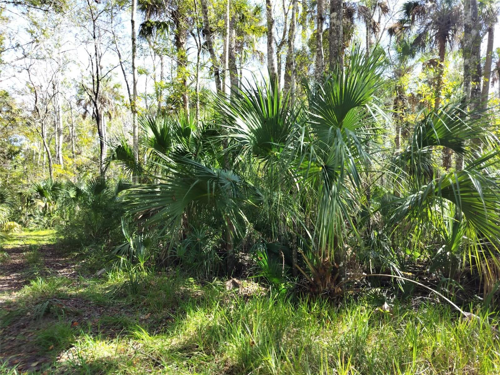10008 W PENNSYLVANIA ST, HOMOSASSA, FL — photo 3