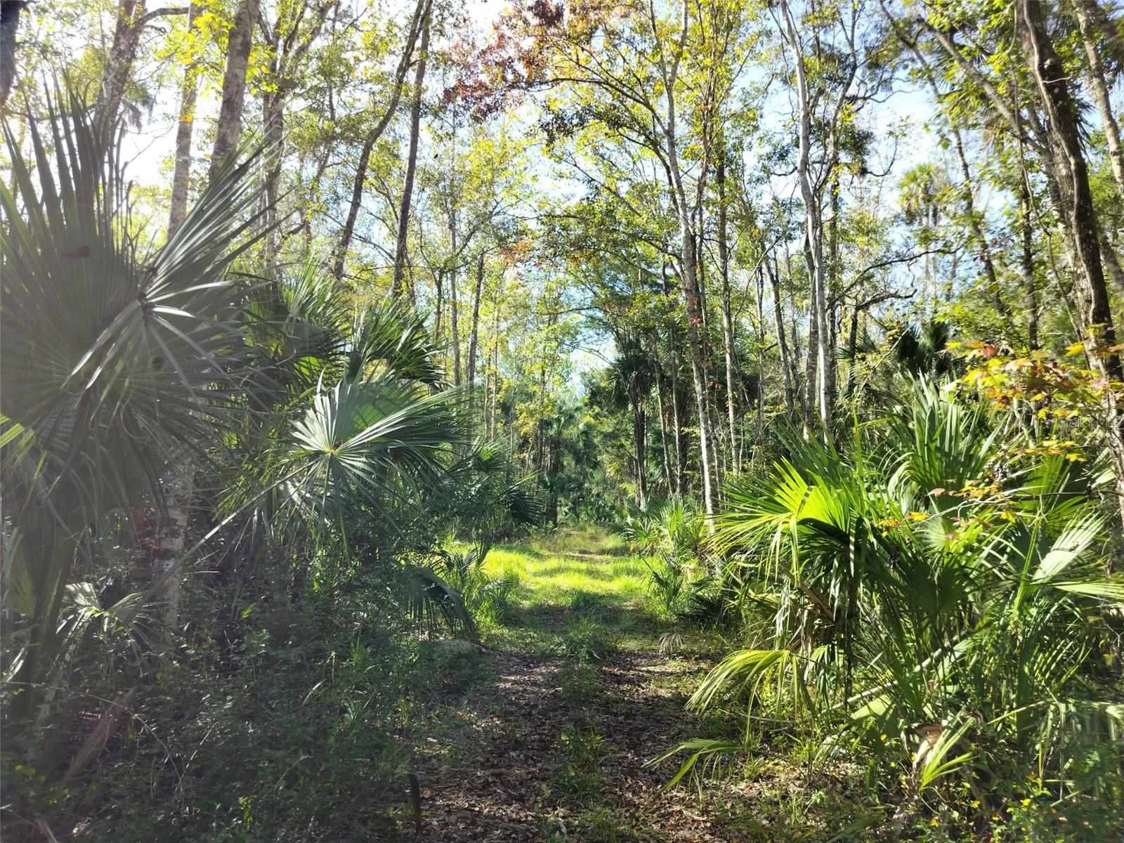 10008 W PENNSYLVANIA ST, HOMOSASSA, FL — photo 13