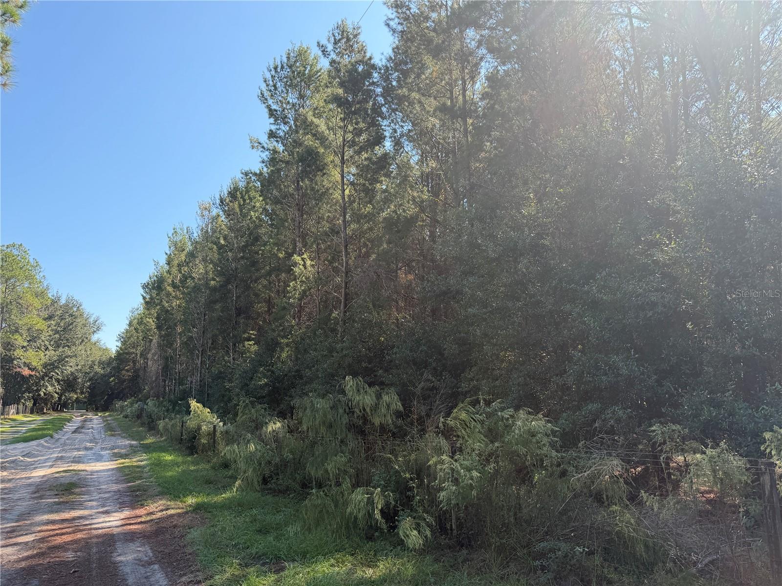 7818 NW STATE ROAD 45, HIGH SPRINGS, FL — photo 2