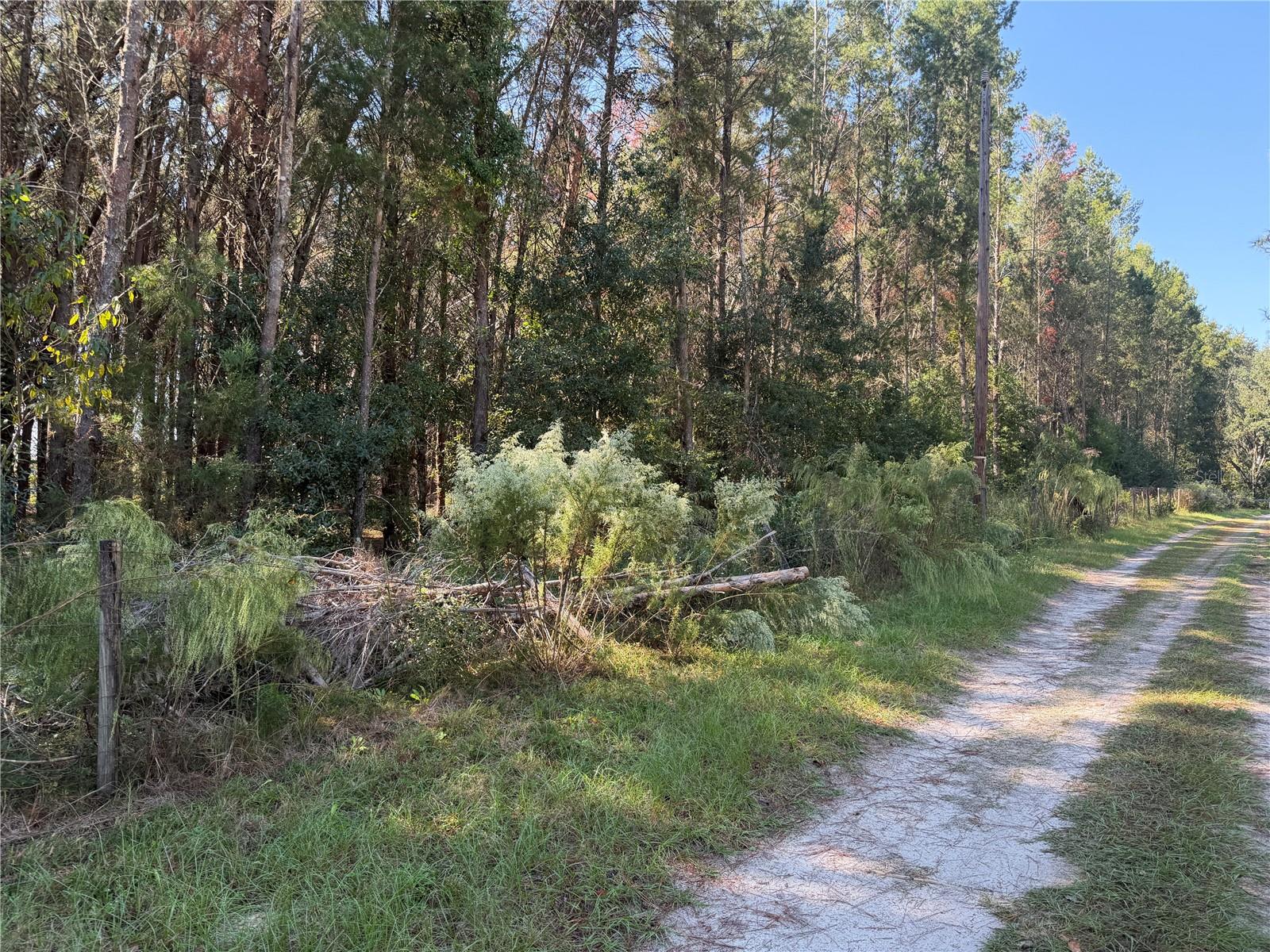 7818 NW STATE ROAD 45, HIGH SPRINGS, FL