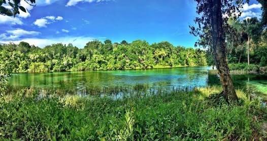 Lot 001 SW 207TH CIR, DUNNELLON, FL — photo 4