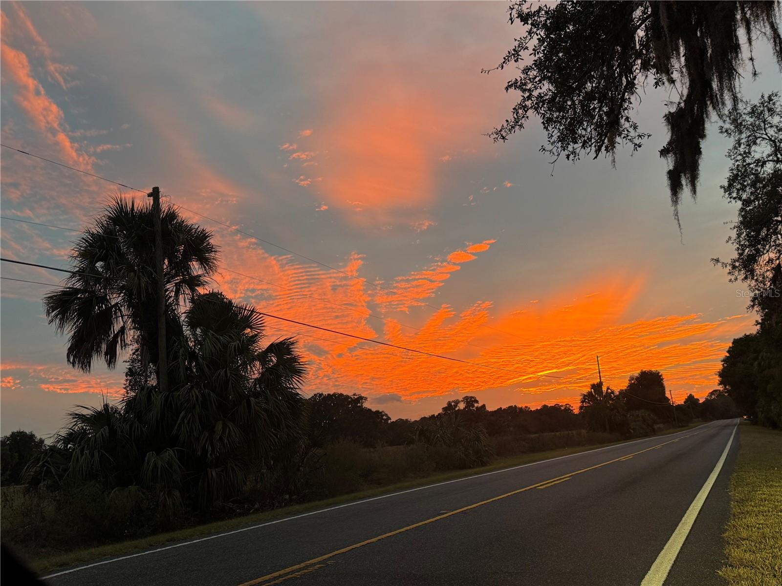 Lot 001 SW 207TH CIR, DUNNELLON, FL — photo 9