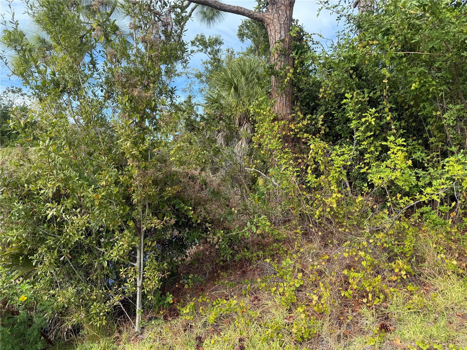 7483 REGINA DR, ENGLEWOOD, FL — photo 11