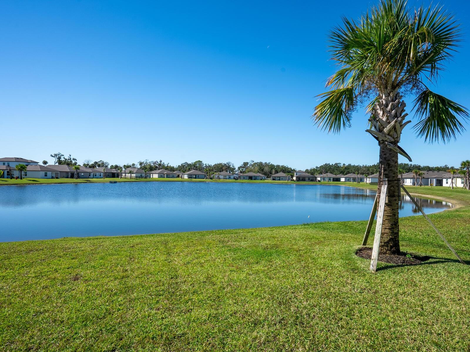 9975 LAST LIGHT GLN, PARRISH, FL — photo 30