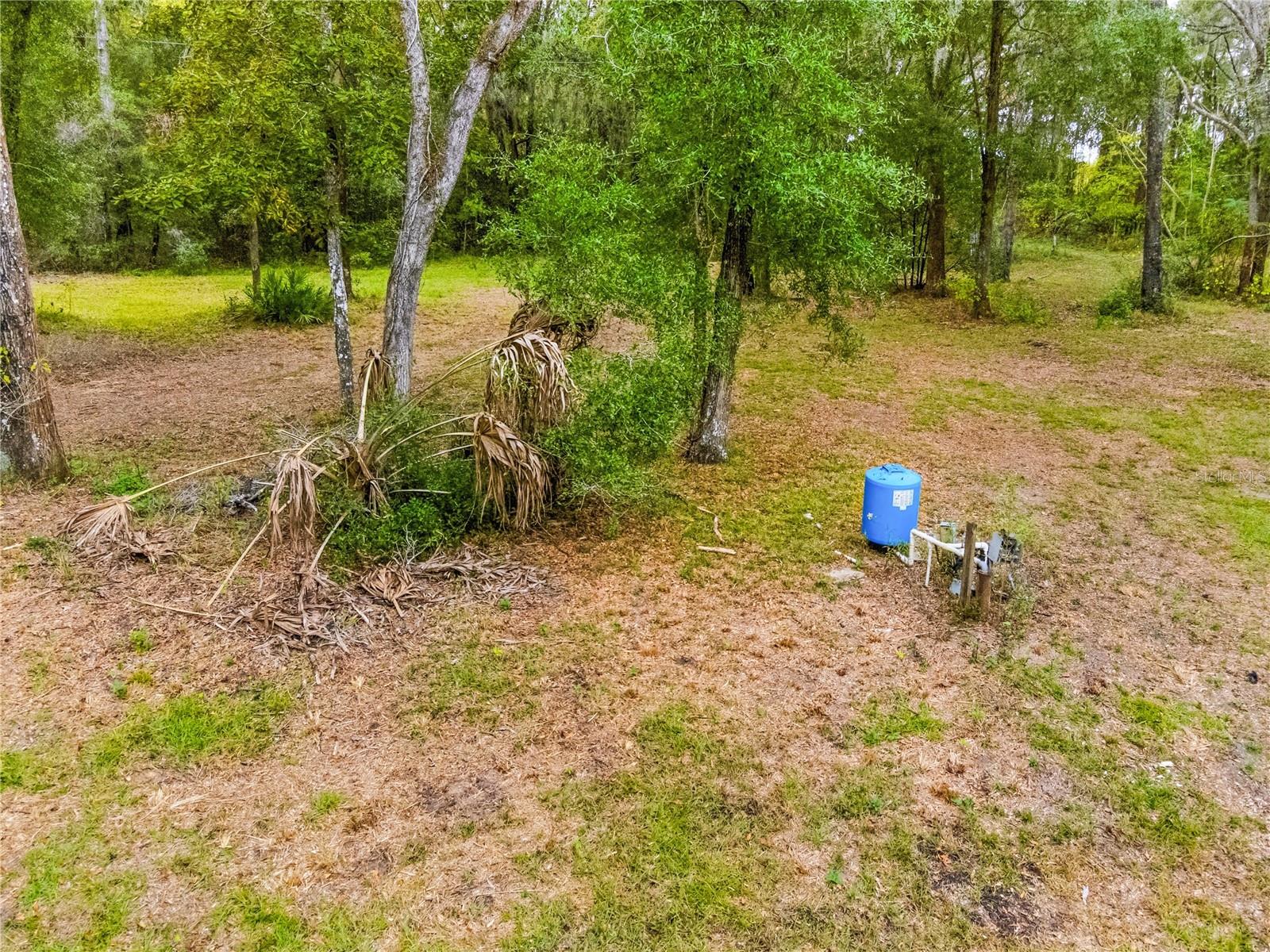 20614 NW 10TH PL, NEWBERRY, FL — photo 19