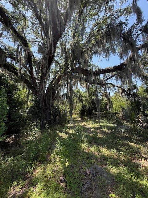 17918 NE US HIGHWAY 301, WALDO, FL — photo 3