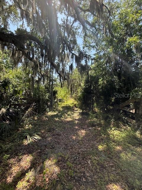 17918 NE US HIGHWAY 301, WALDO, FL — photo 4