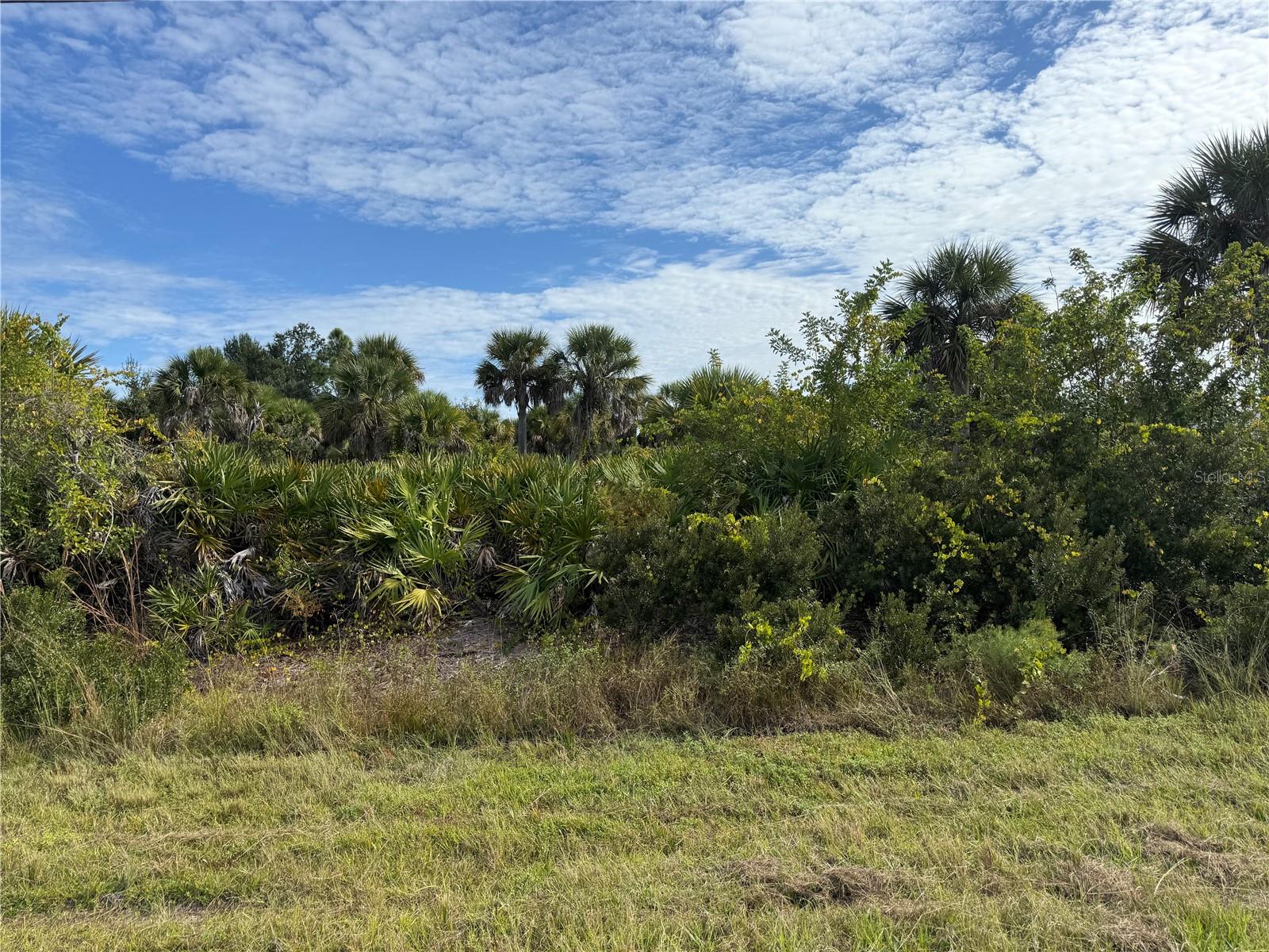 7098 PRINCETON ST, PORT CHARLOTTE, FL — photo 10
