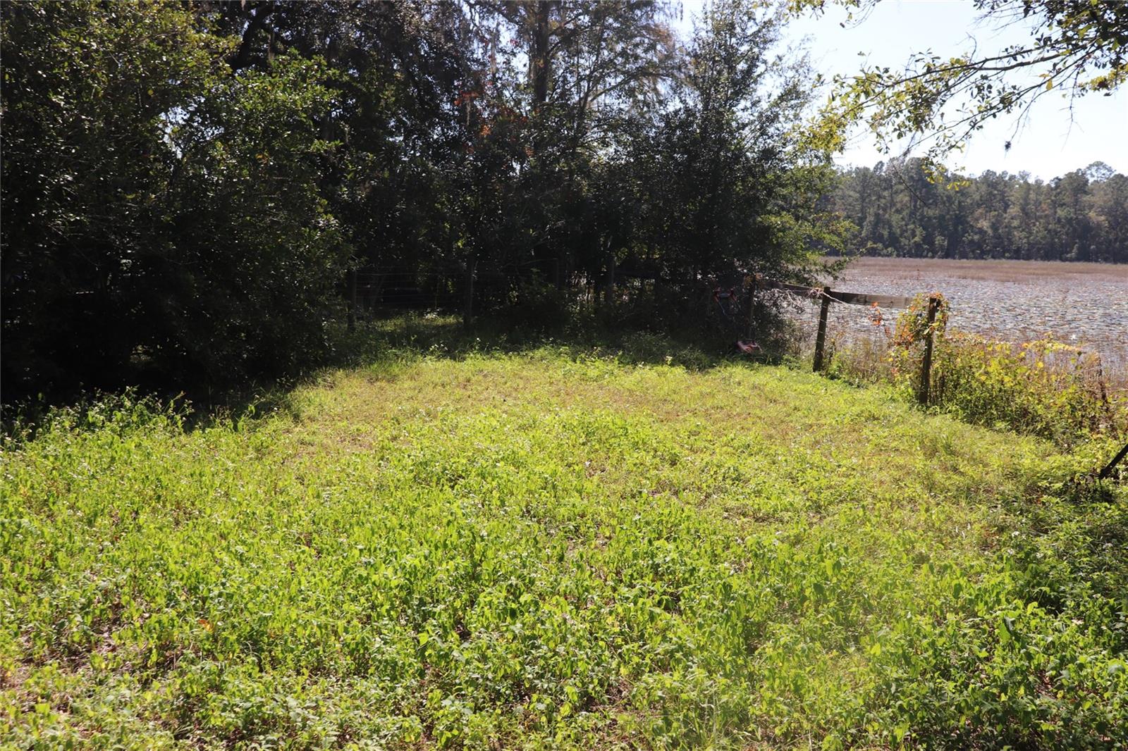 14150 NE 110TH AVENUE RD, FORT MC COY, FL — photo 4
