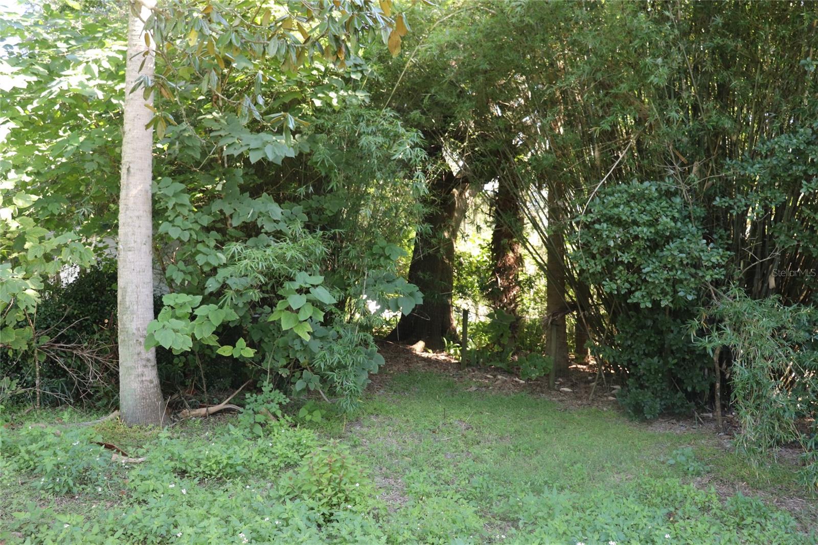 14150 NE 110TH AVENUE RD, FORT MC COY, FL — photo 7