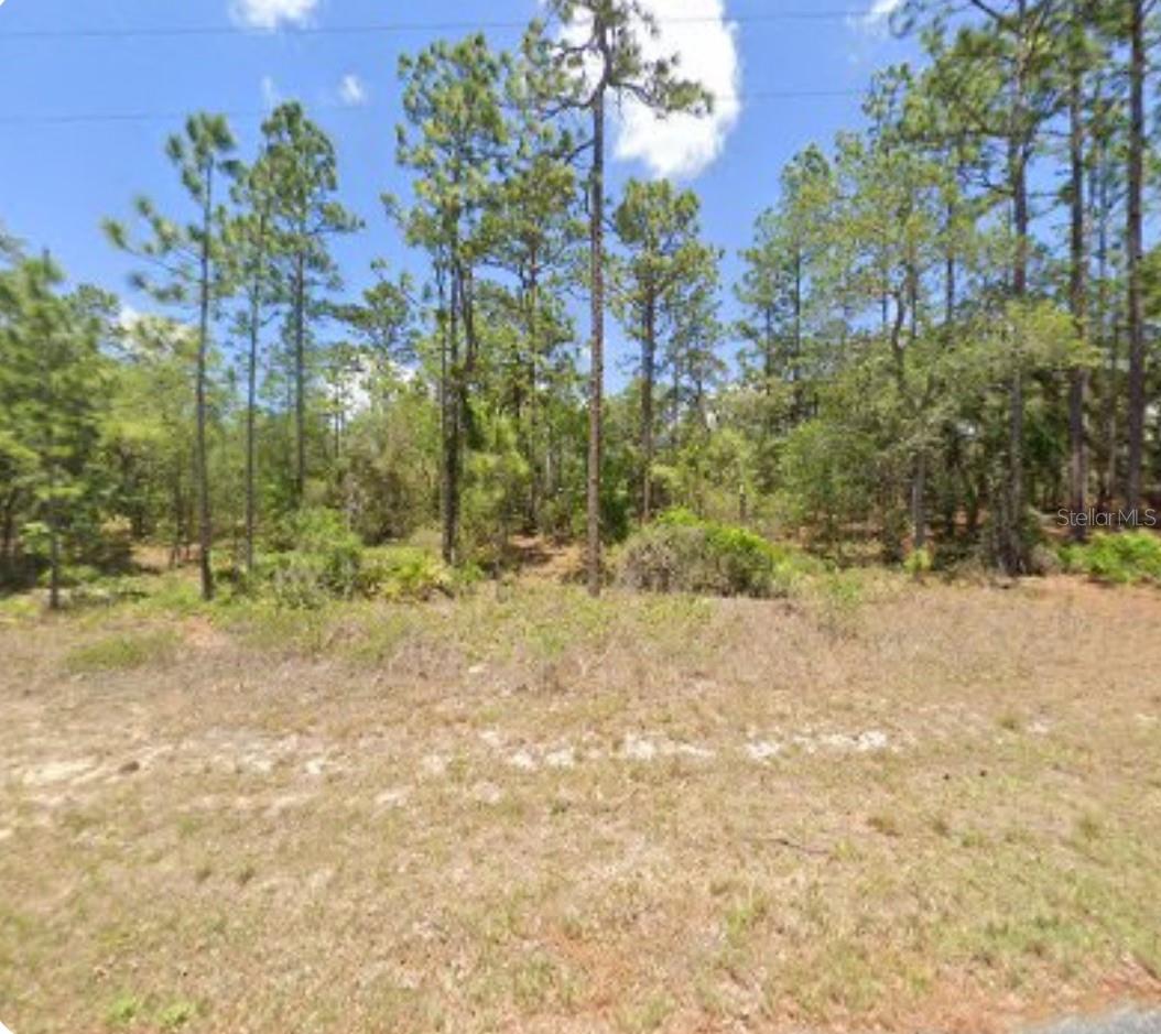 3271 W MONTGOMERY LN, CITRUS SPRINGS, FL