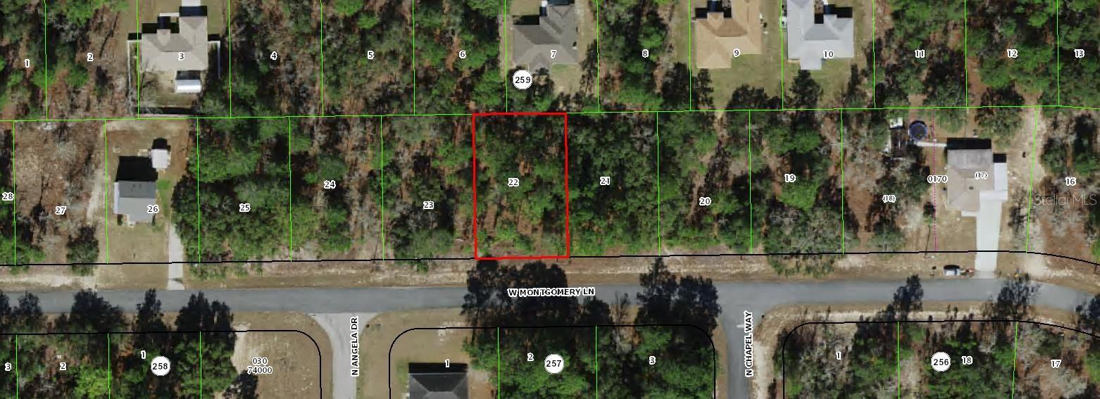 3271 W MONTGOMERY LN, CITRUS SPRINGS, FL — photo 3