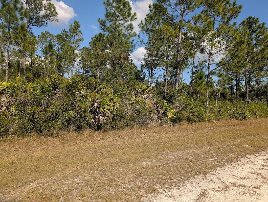 OLEANDER DR, INDIAN LAKE ESTATES, FL — photo 2