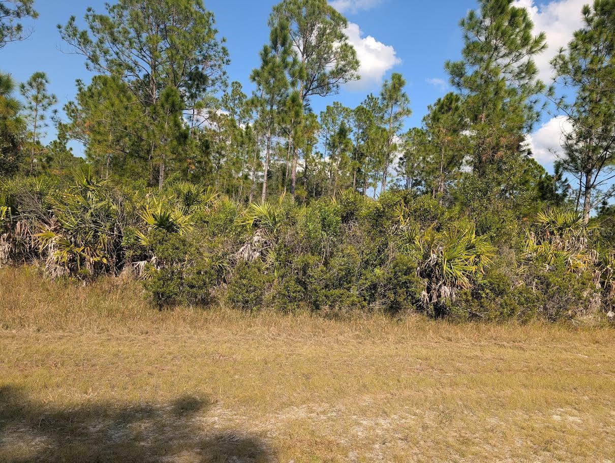 OLEANDER DR, INDIAN LAKE ESTATES, FL — photo 5