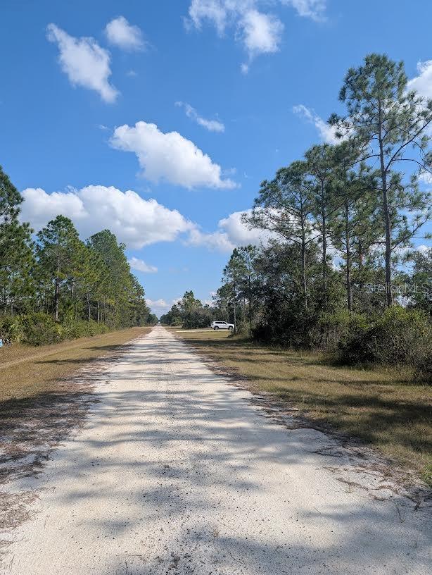 OLEANDER DR, INDIAN LAKE ESTATES, FL — photo 6