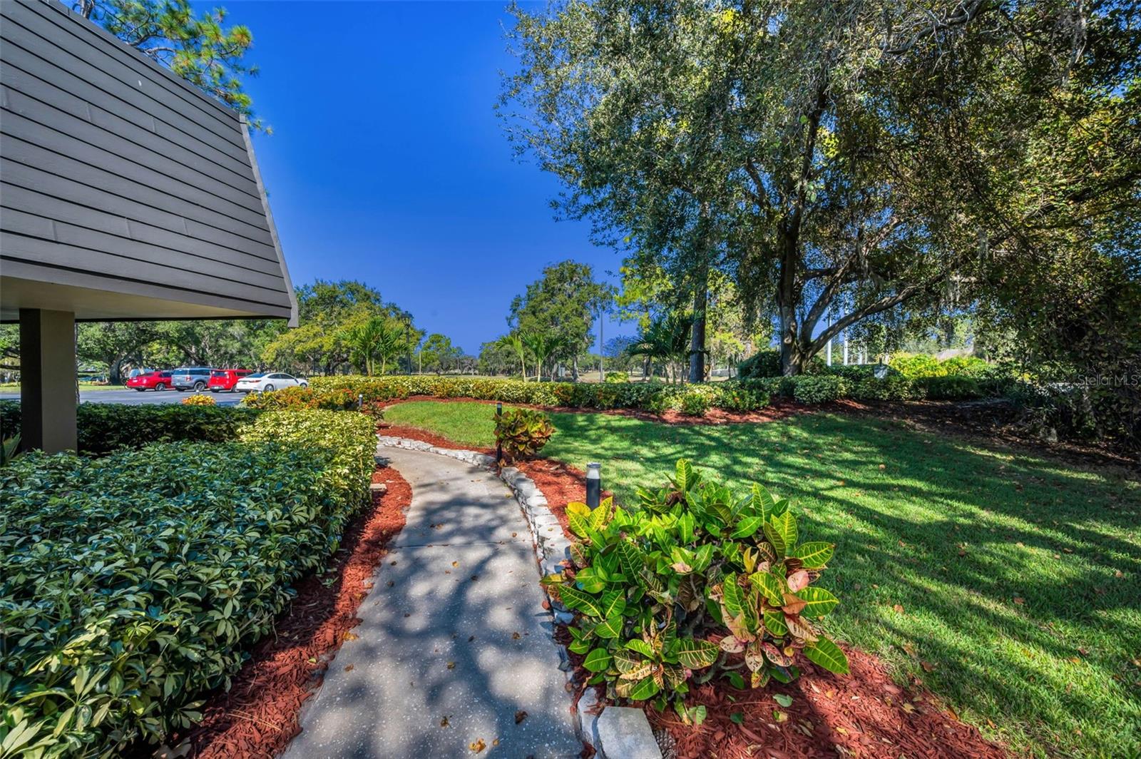 36750 US HIGHWAY 19 N #28-2017, PALM HARBOR, FL — photo 36