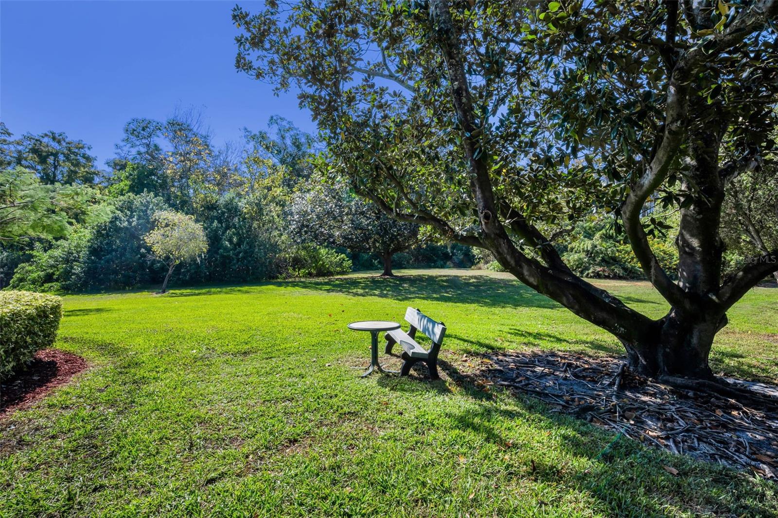 36750 US HIGHWAY 19 N #28-2017, PALM HARBOR, FL — photo 40