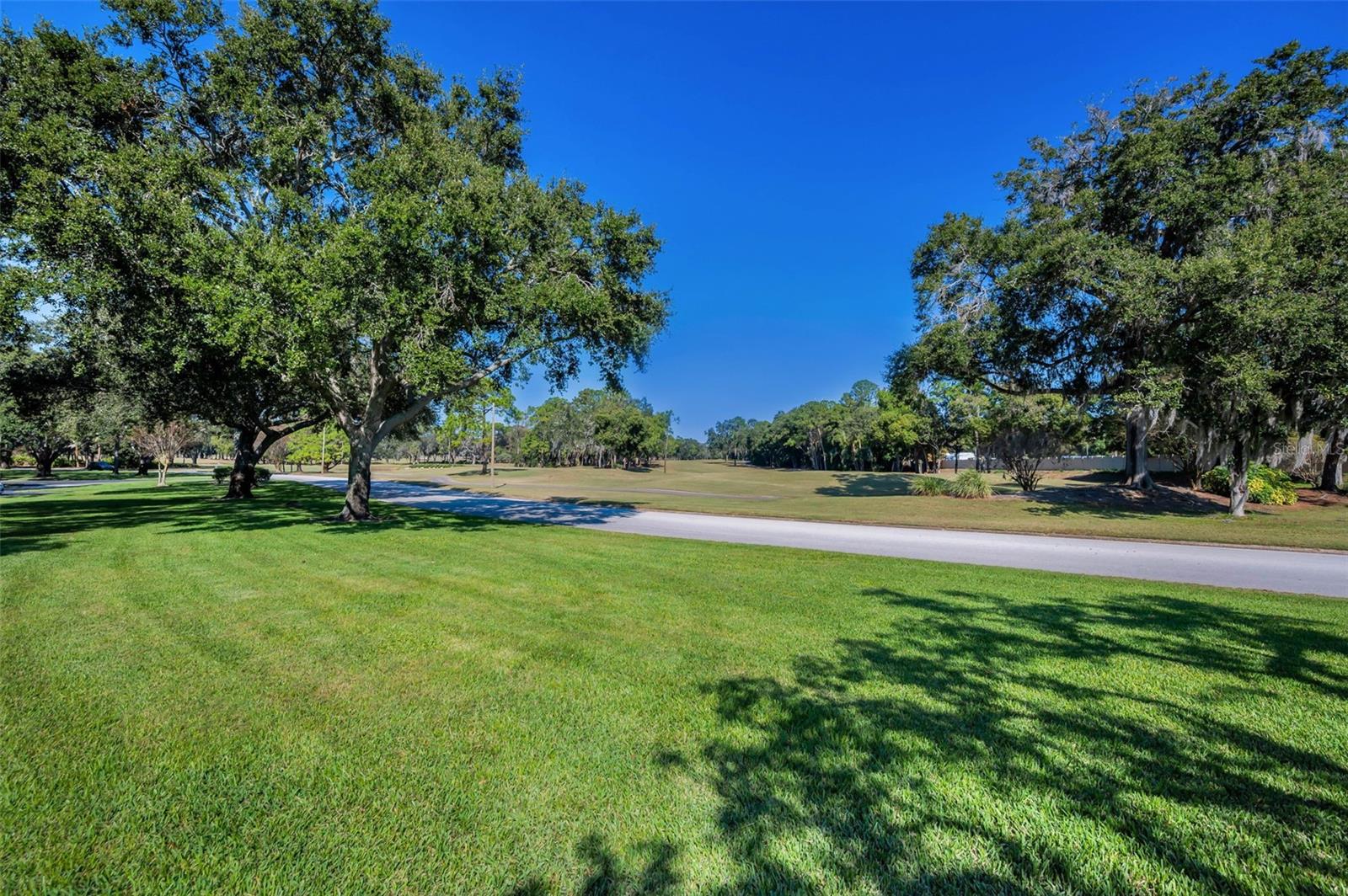 36750 US HIGHWAY 19 N #28-2017, PALM HARBOR, FL — photo 44