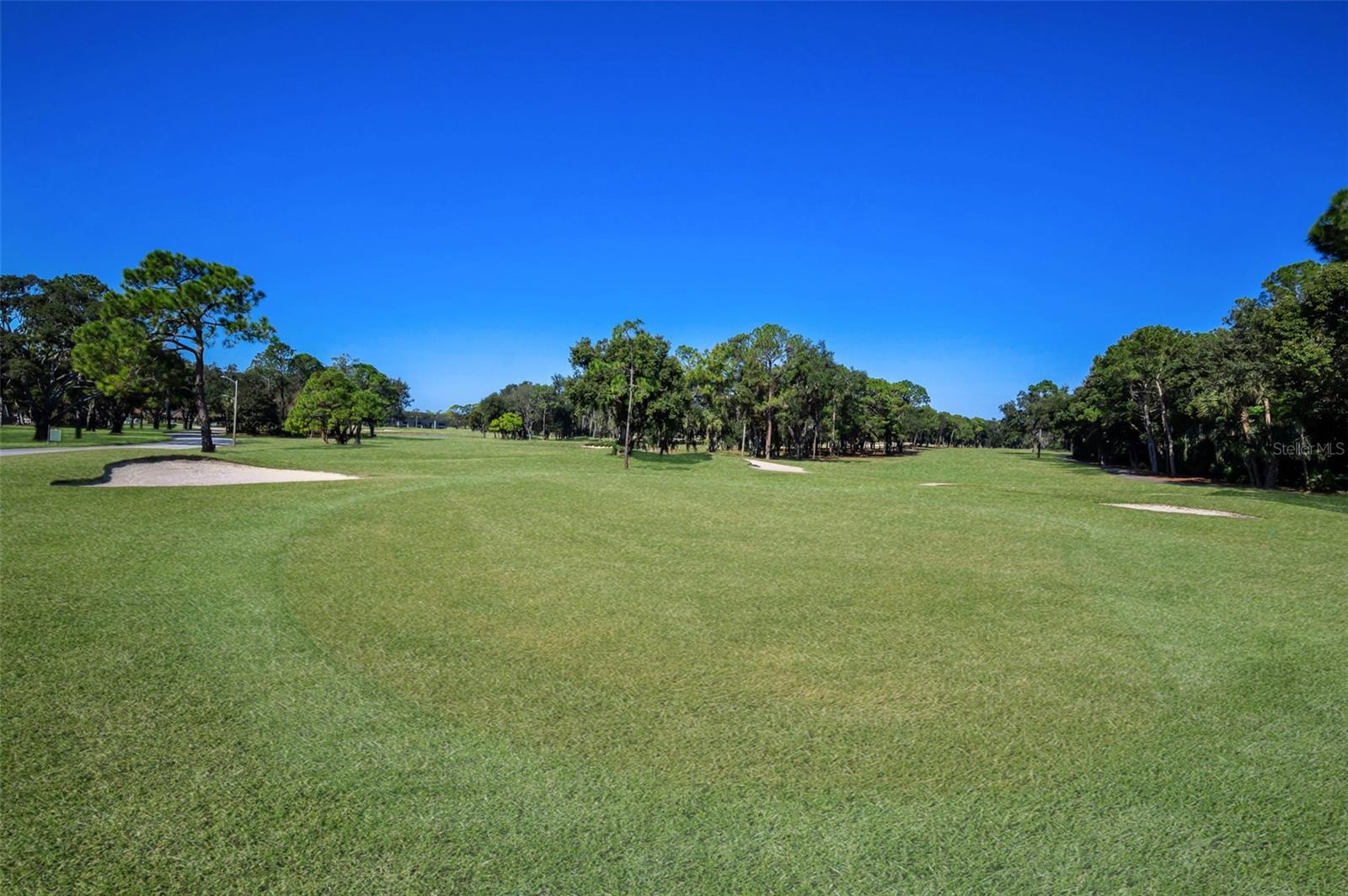 36750 US HIGHWAY 19 N #28-2017, PALM HARBOR, FL — photo 50