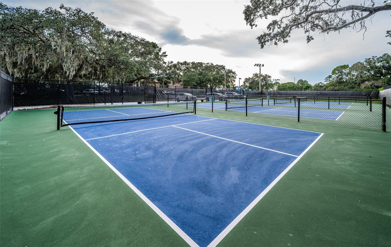 36750 US HIGHWAY 19 N #28-2017, PALM HARBOR, FL — photo 56