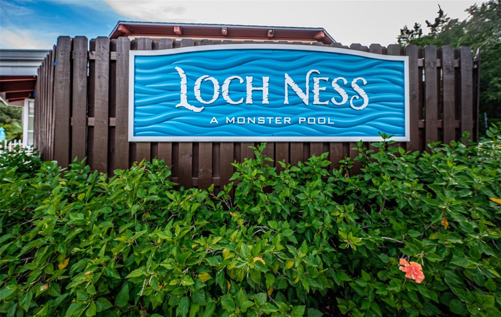36750 US HIGHWAY 19 N #28-2017, PALM HARBOR, FL — photo 58