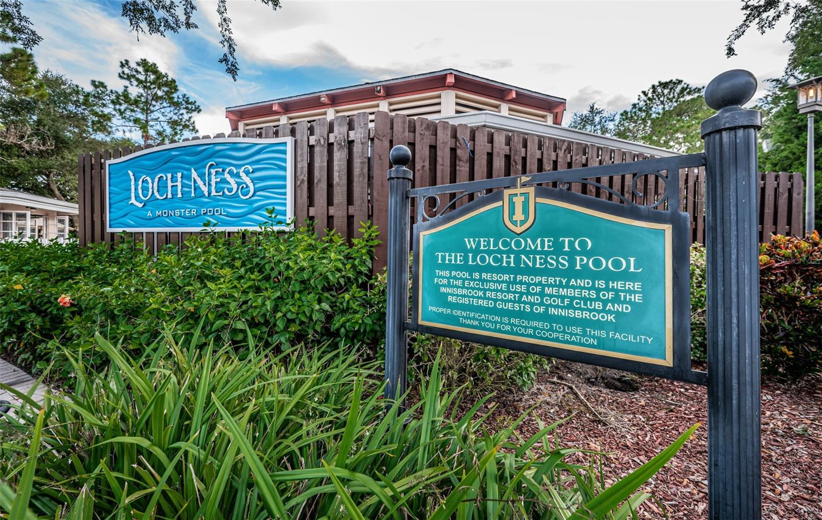 36750 US HIGHWAY 19 N #28-2017, PALM HARBOR, FL — photo 59