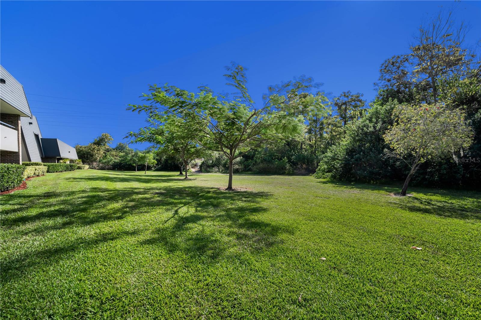 36750 US HIGHWAY 19 N #28-2017, PALM HARBOR, FL — photo 65