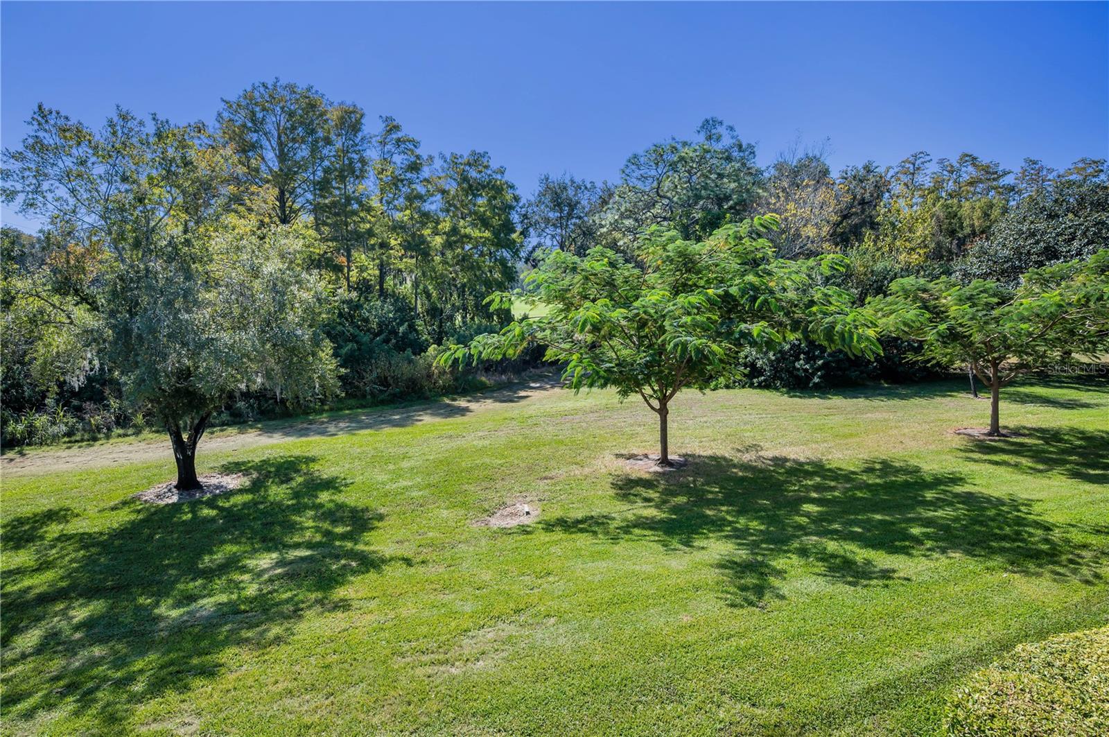 36750 US HIGHWAY 19 N #28-2017, PALM HARBOR, FL — photo 68