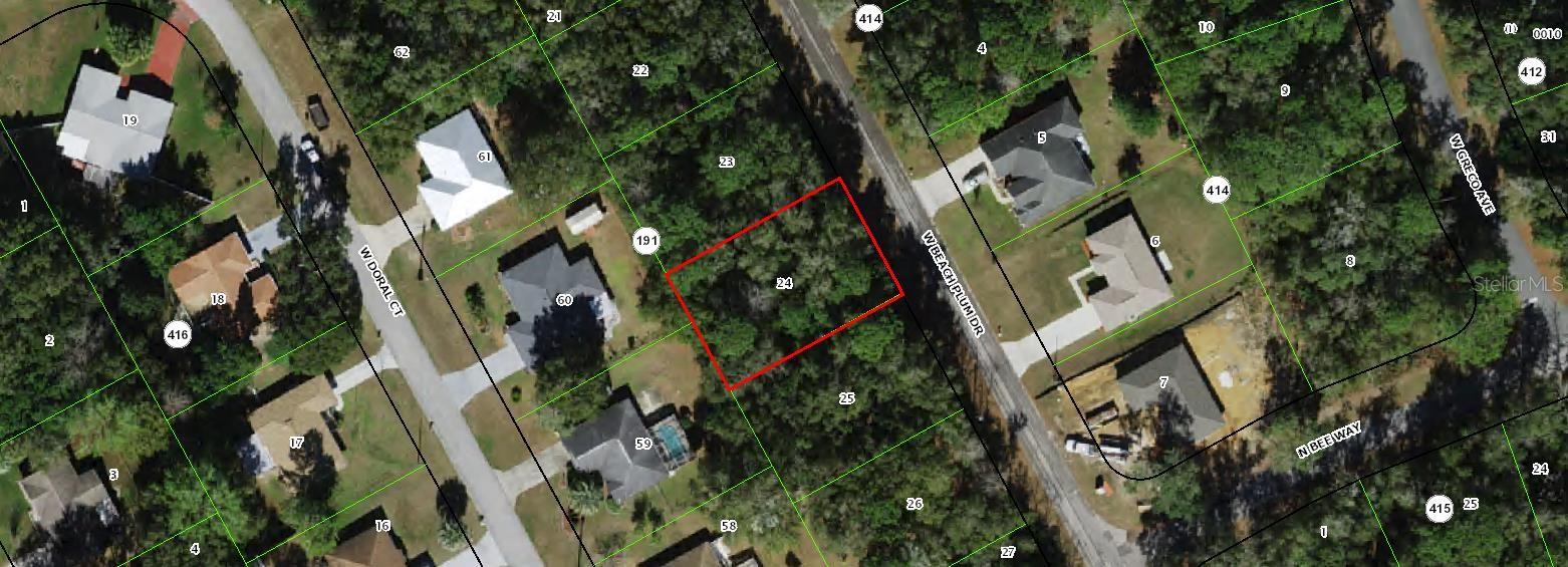2124 W BEACH PLUM DR, CITRUS SPRINGS, FL