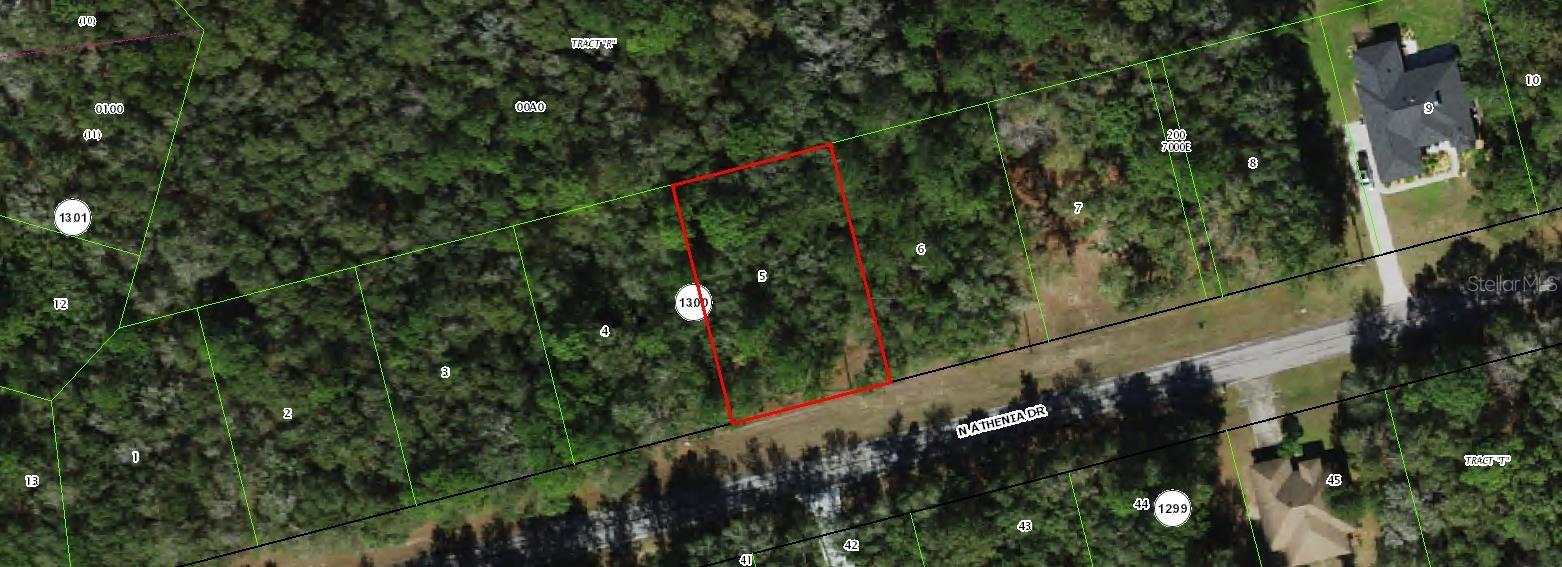 10205 N ATHENIA DR, CITRUS SPRINGS, FL