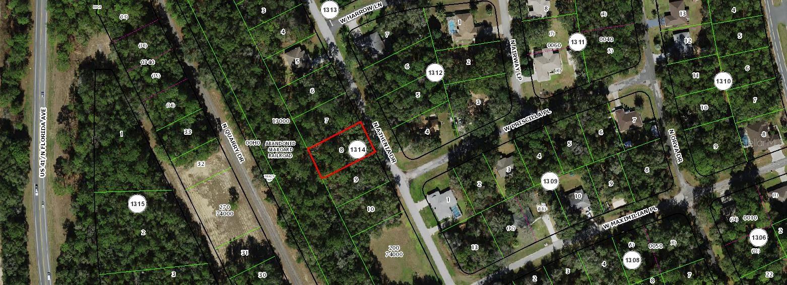 10676 N ATHENIA DR, CITRUS SPRINGS, FL