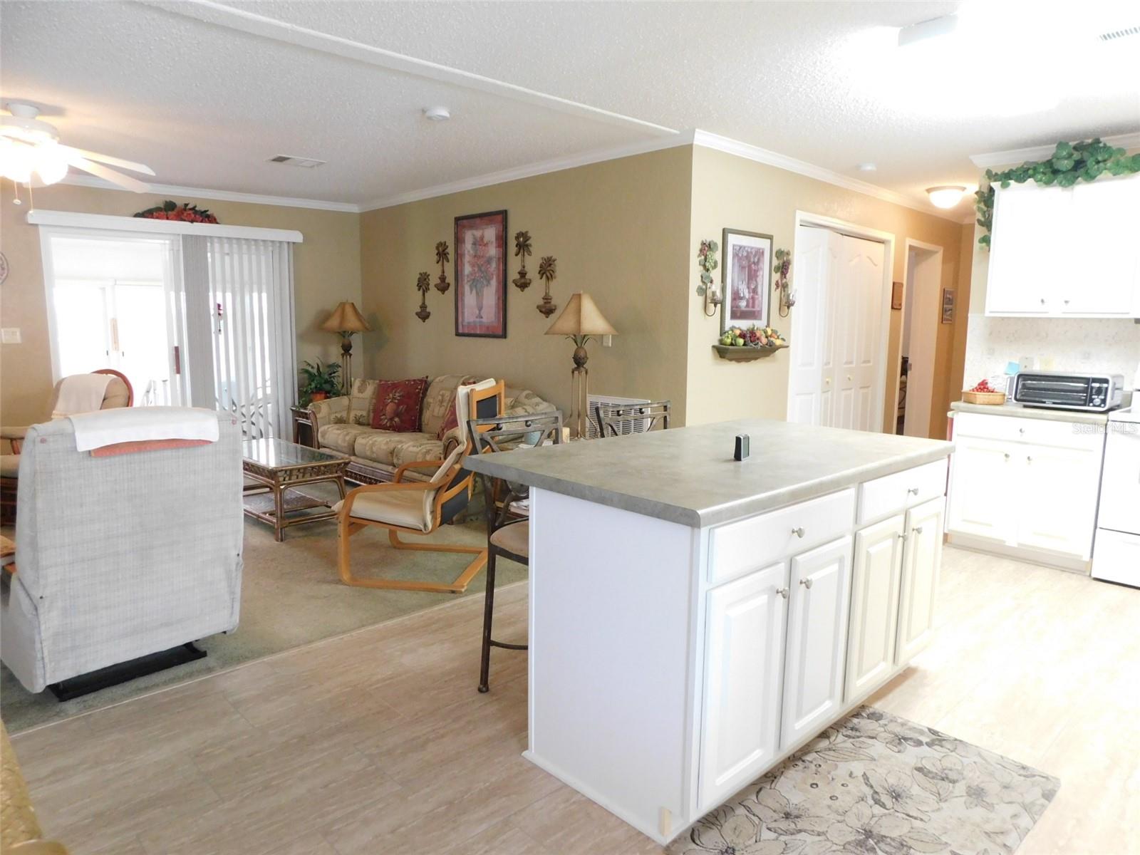 11739 SW LEMON AVE, ARCADIA, FL — photo 11