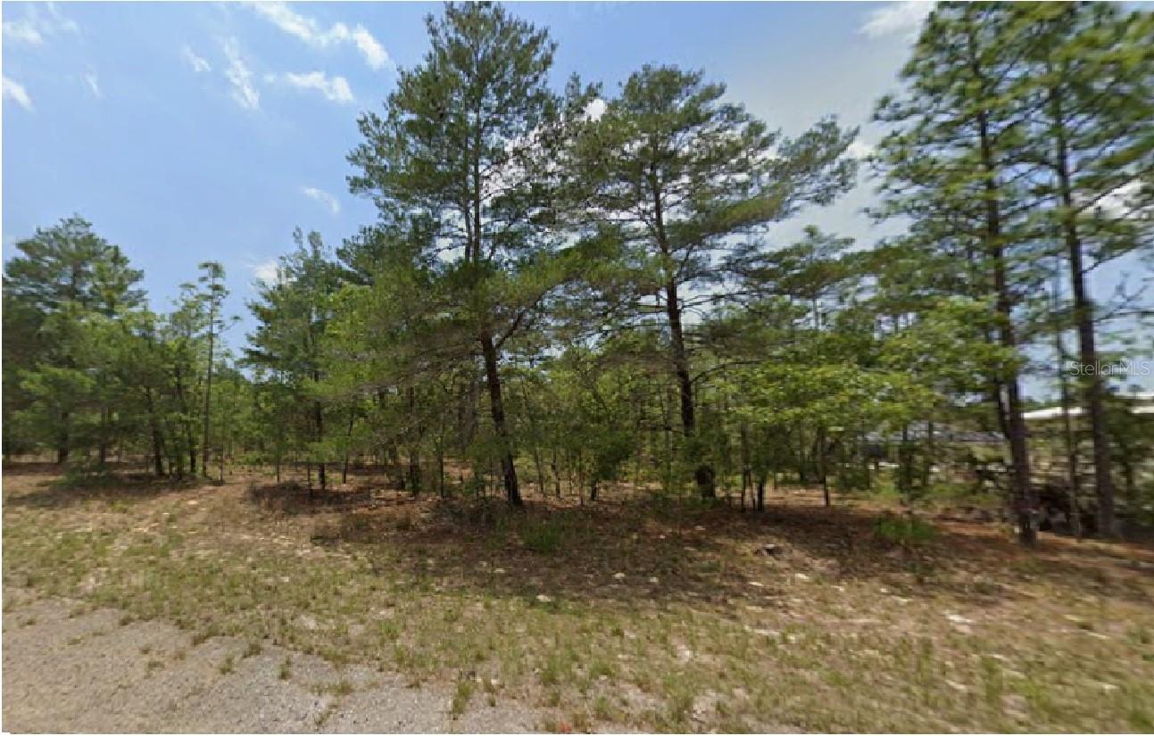 6320 N CHESTNUT TER, DUNNELLON, FL