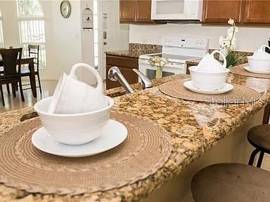 1010 TOURMALINE DR, KISSIMMEE, FL — photo 4