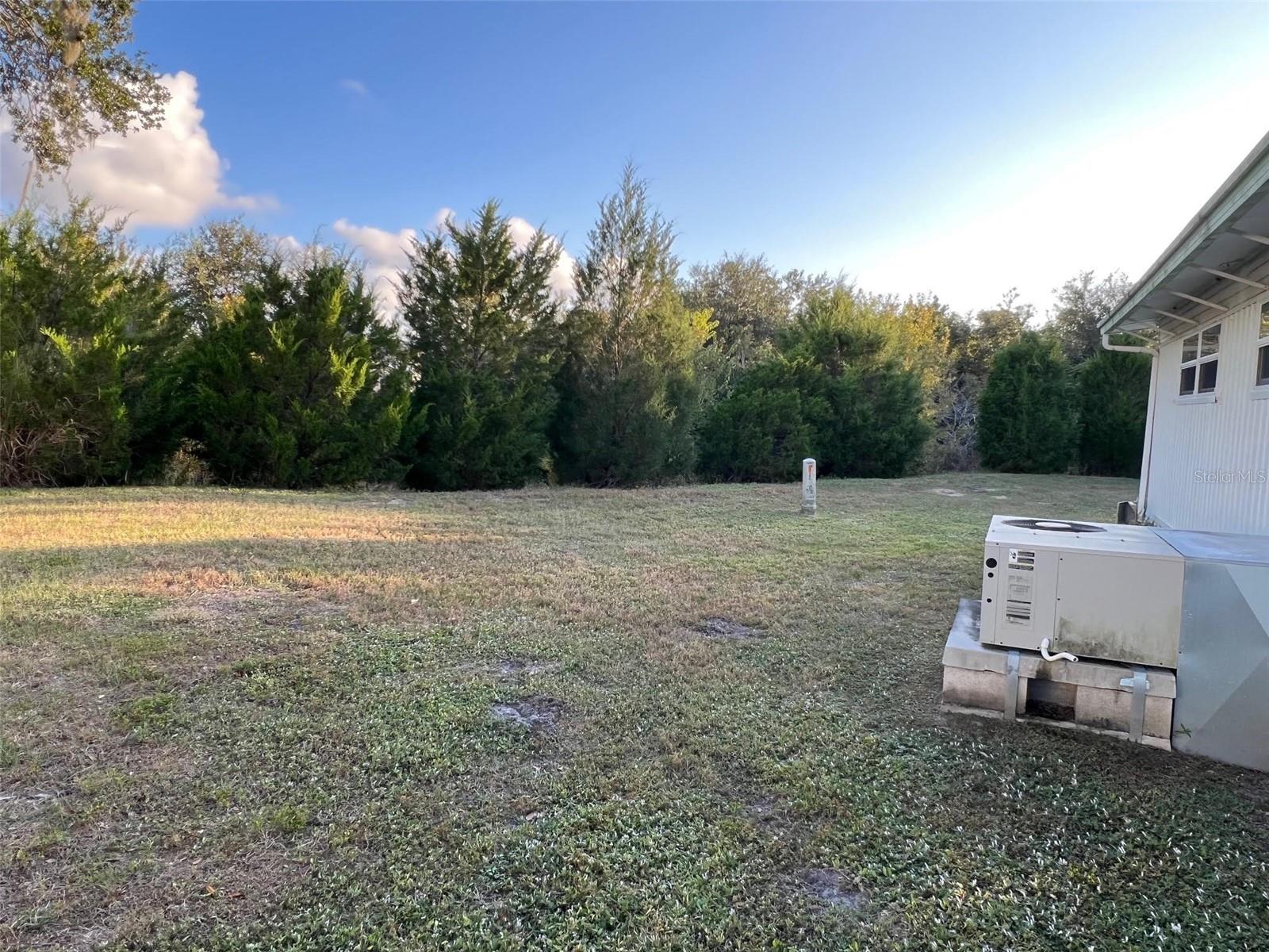 29250 US HIGHWAY 19 N #301, CLEARWATER, FL — photo 3