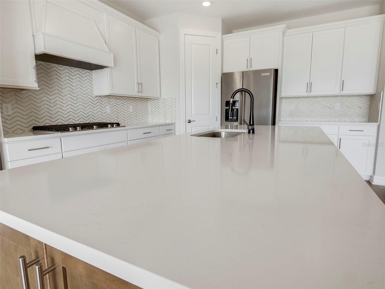 15319 SOARING BLUFF DR, MONTVERDE, FL — photo 55