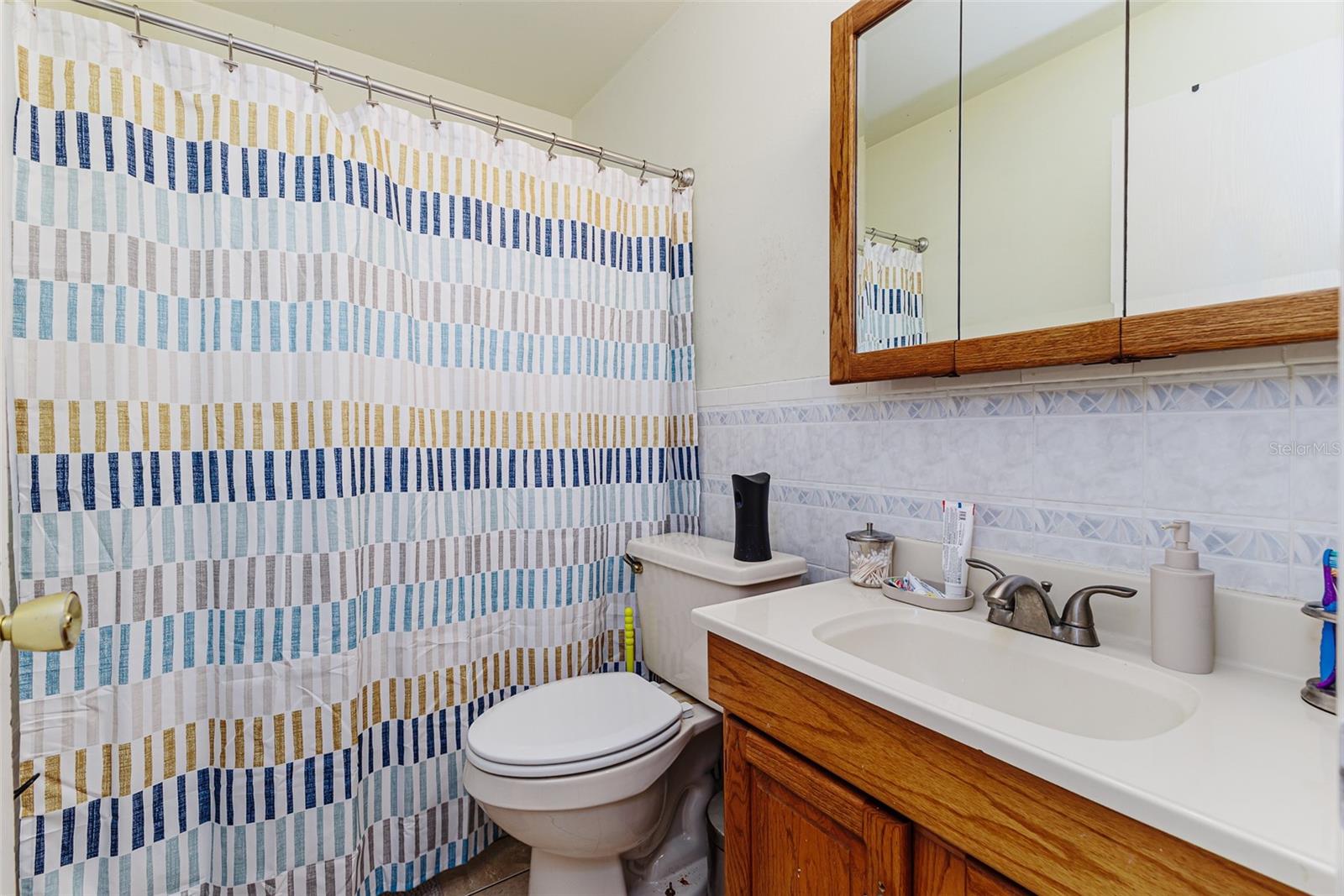 3077 HEATHER GLYNN DR, MULBERRY, FL — photo 16
