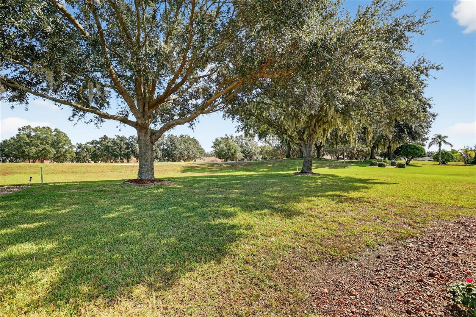 21202 BRAVEHEART DR, LEESBURG, FL — photo 85