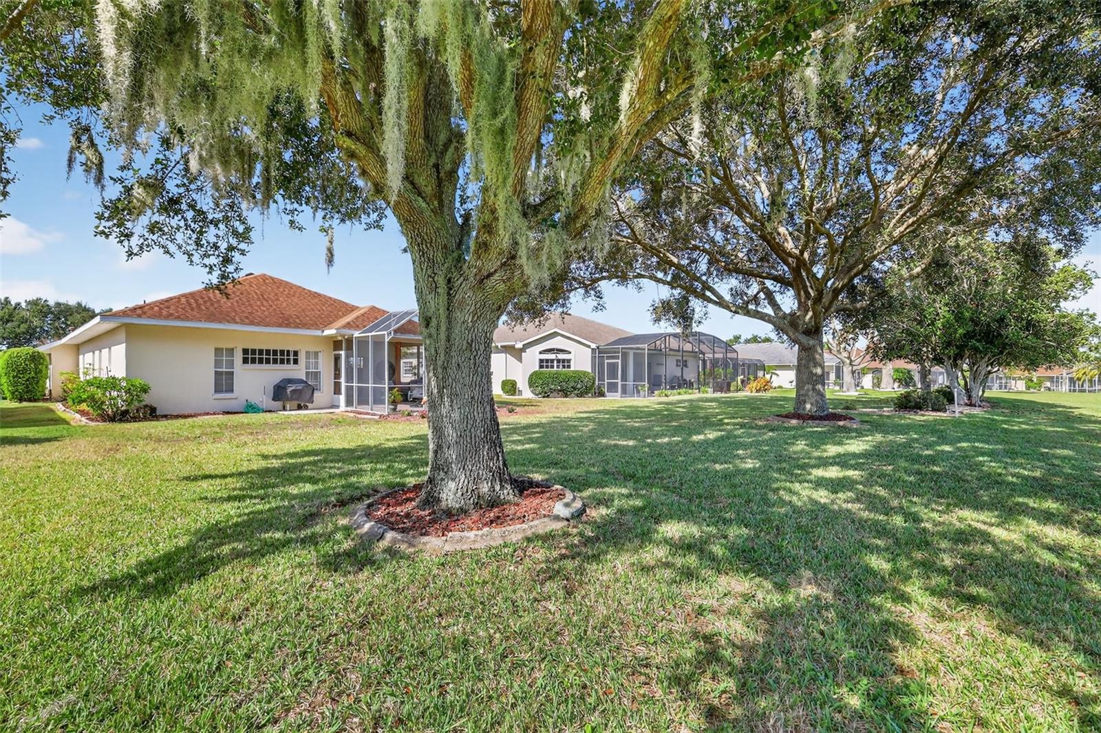21202 BRAVEHEART DR, LEESBURG, FL — photo 91