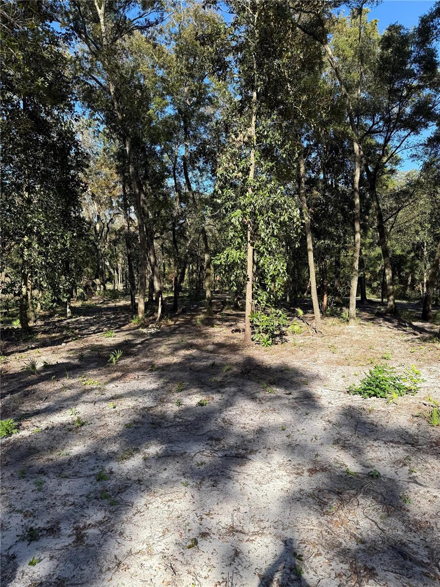 7TH PLACE, OCALA, FL — photo 2
