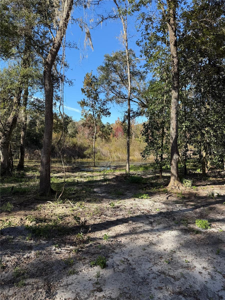7TH PLACE, OCALA, FL — photo 3