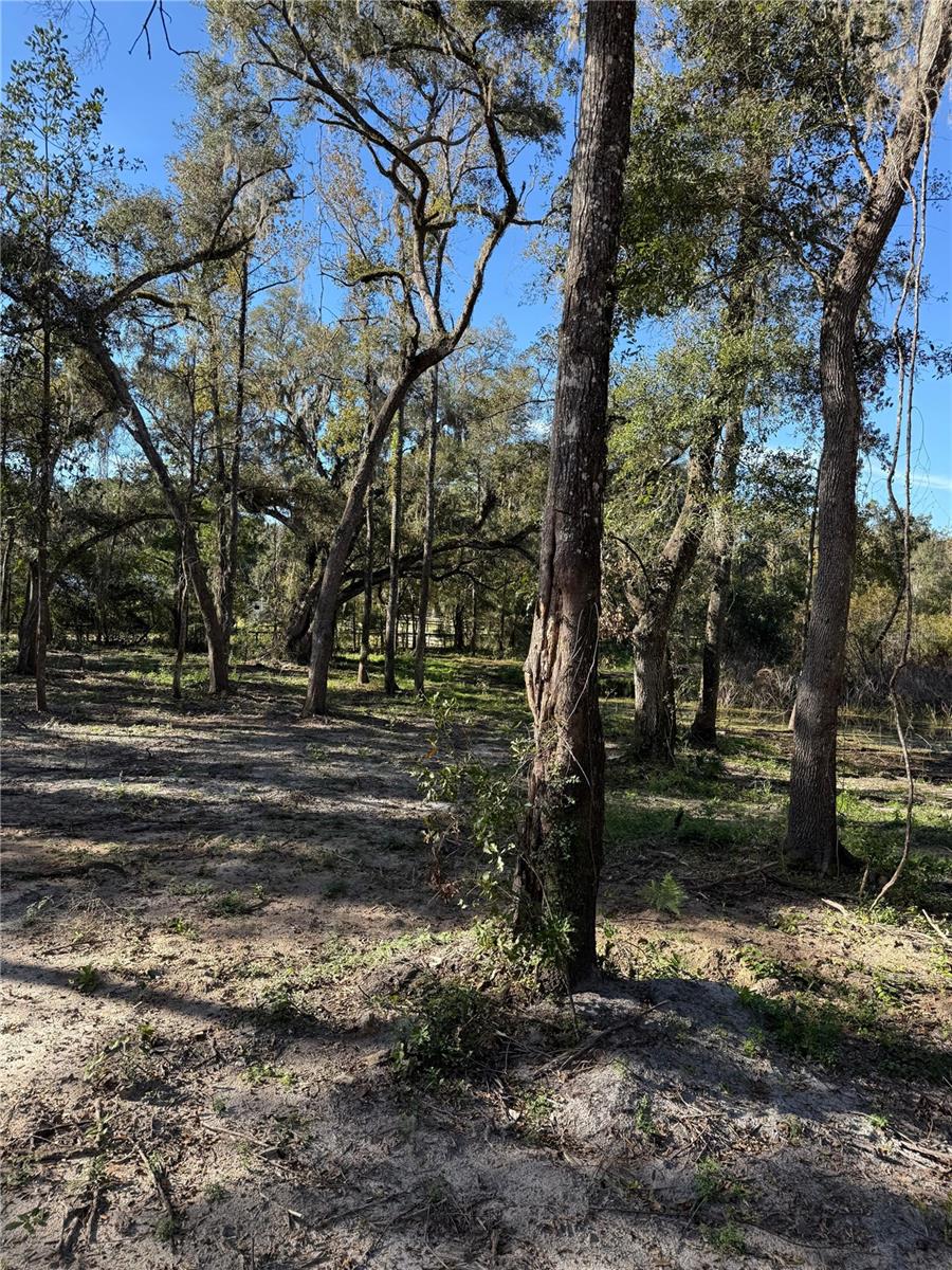7TH PLACE, OCALA, FL — photo 4