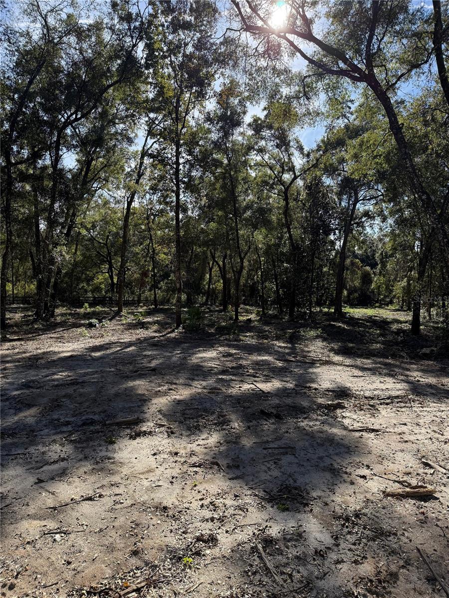 7TH PLACE, OCALA, FL — photo 5