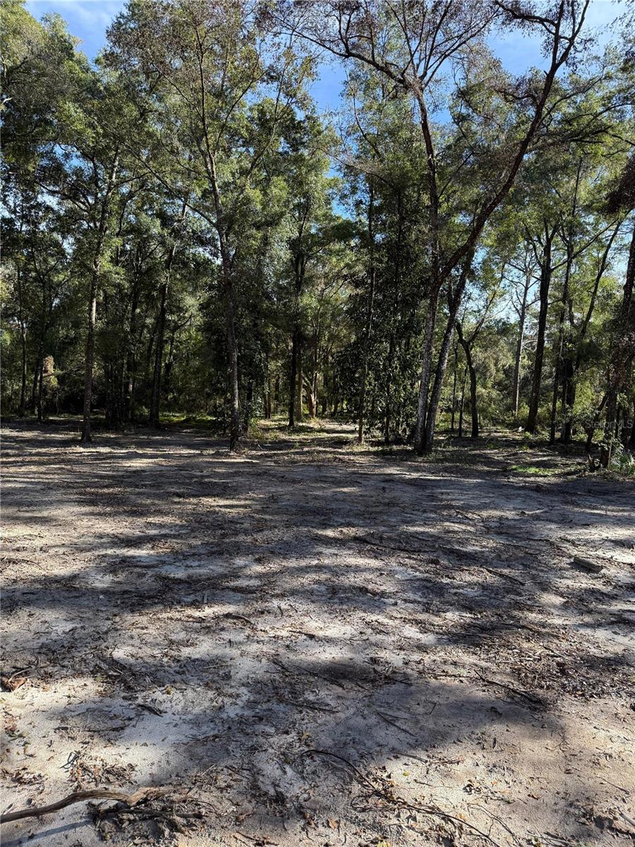 7TH PLACE, OCALA, FL — photo 6
