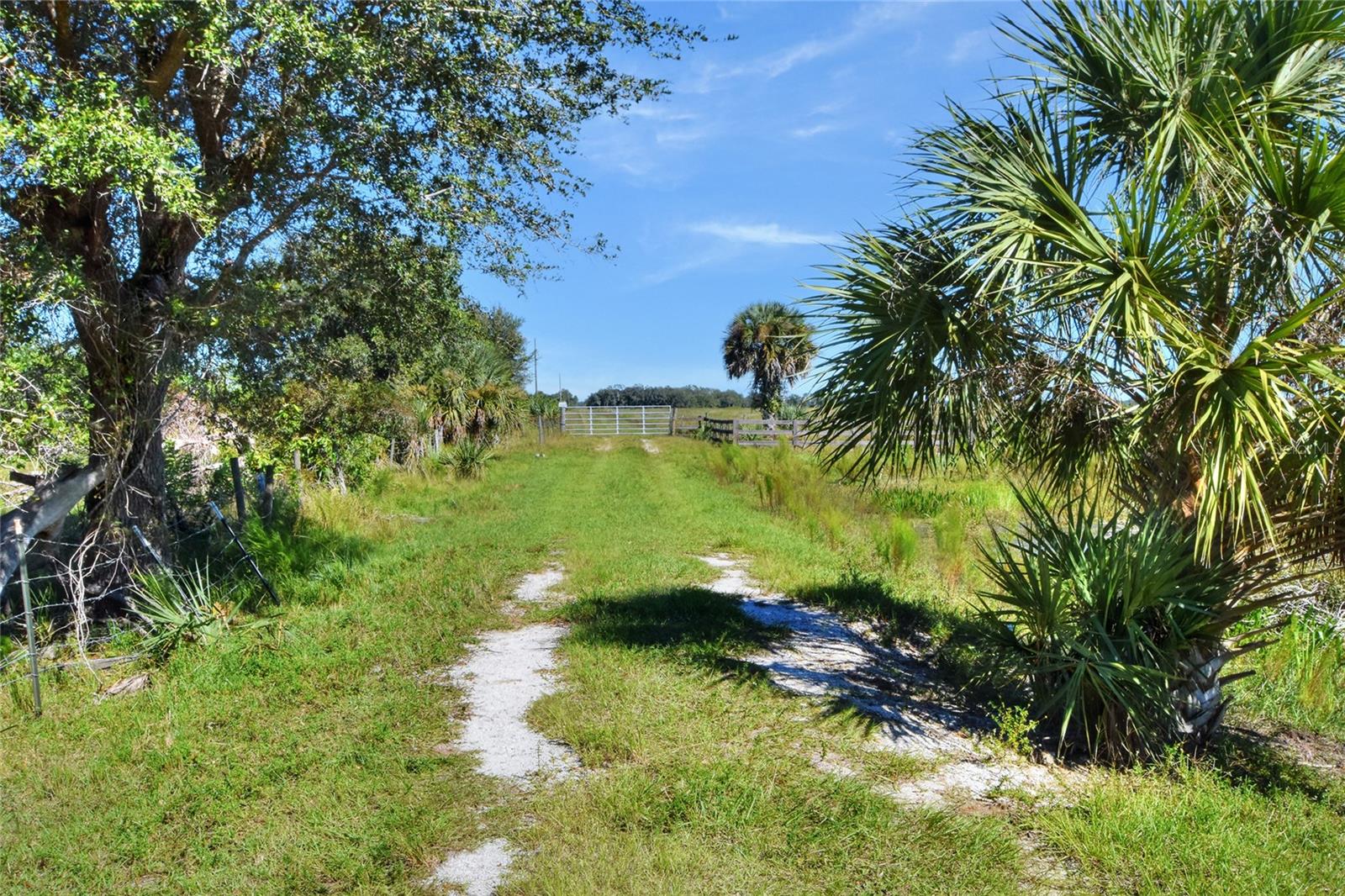 46891 FARABEE RD, PUNTA GORDA, FL — photo 6