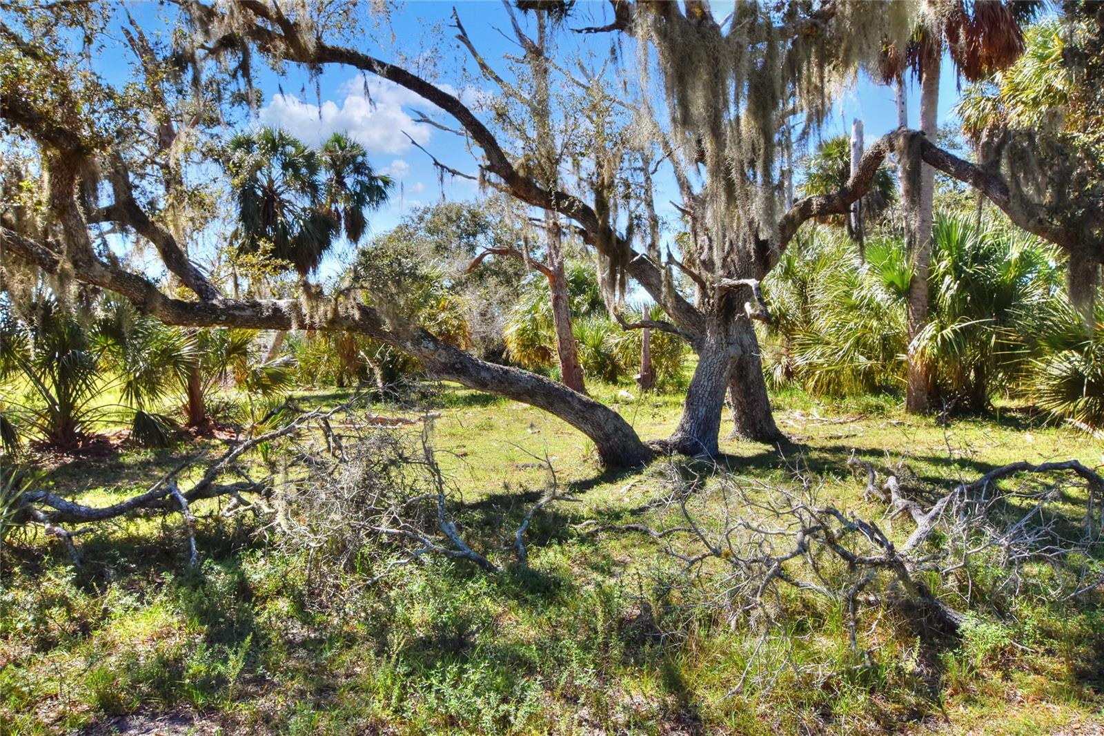 46891 FARABEE RD, PUNTA GORDA, FL — photo 9