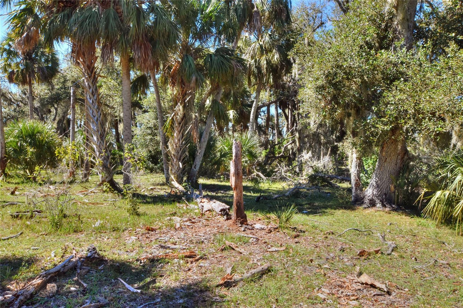 46891 FARABEE RD, PUNTA GORDA, FL — photo 10
