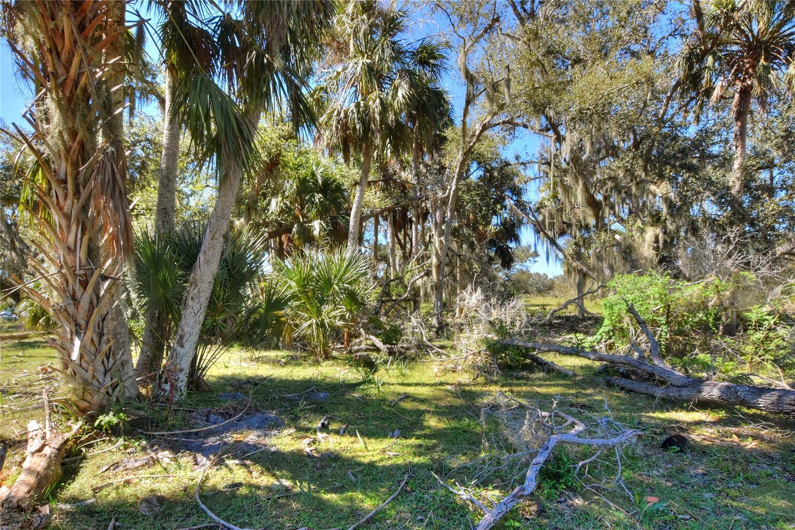 46891 FARABEE RD, PUNTA GORDA, FL — photo 11