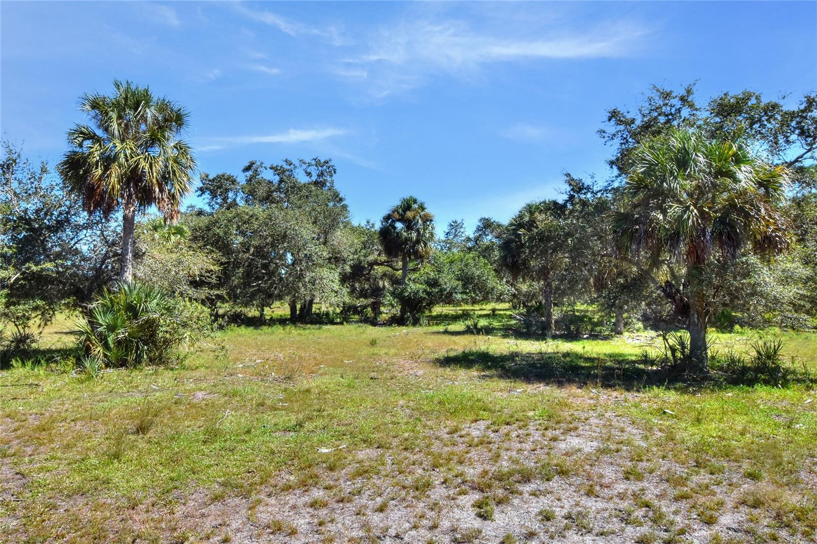 46891 FARABEE RD, PUNTA GORDA, FL — photo 12